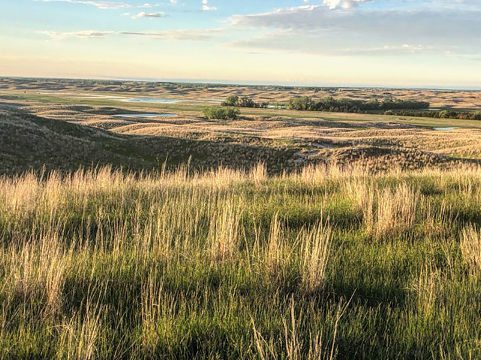 Sandhills R-Project